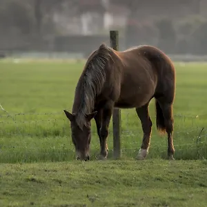 https://agriturismo-al-botteniga.hotelinveneto.com