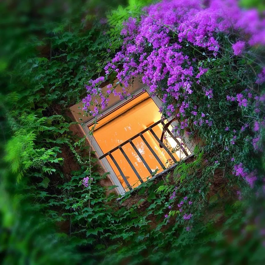 *****  Bio Hotel Raphael - Relais & Chateaux Rome Italy